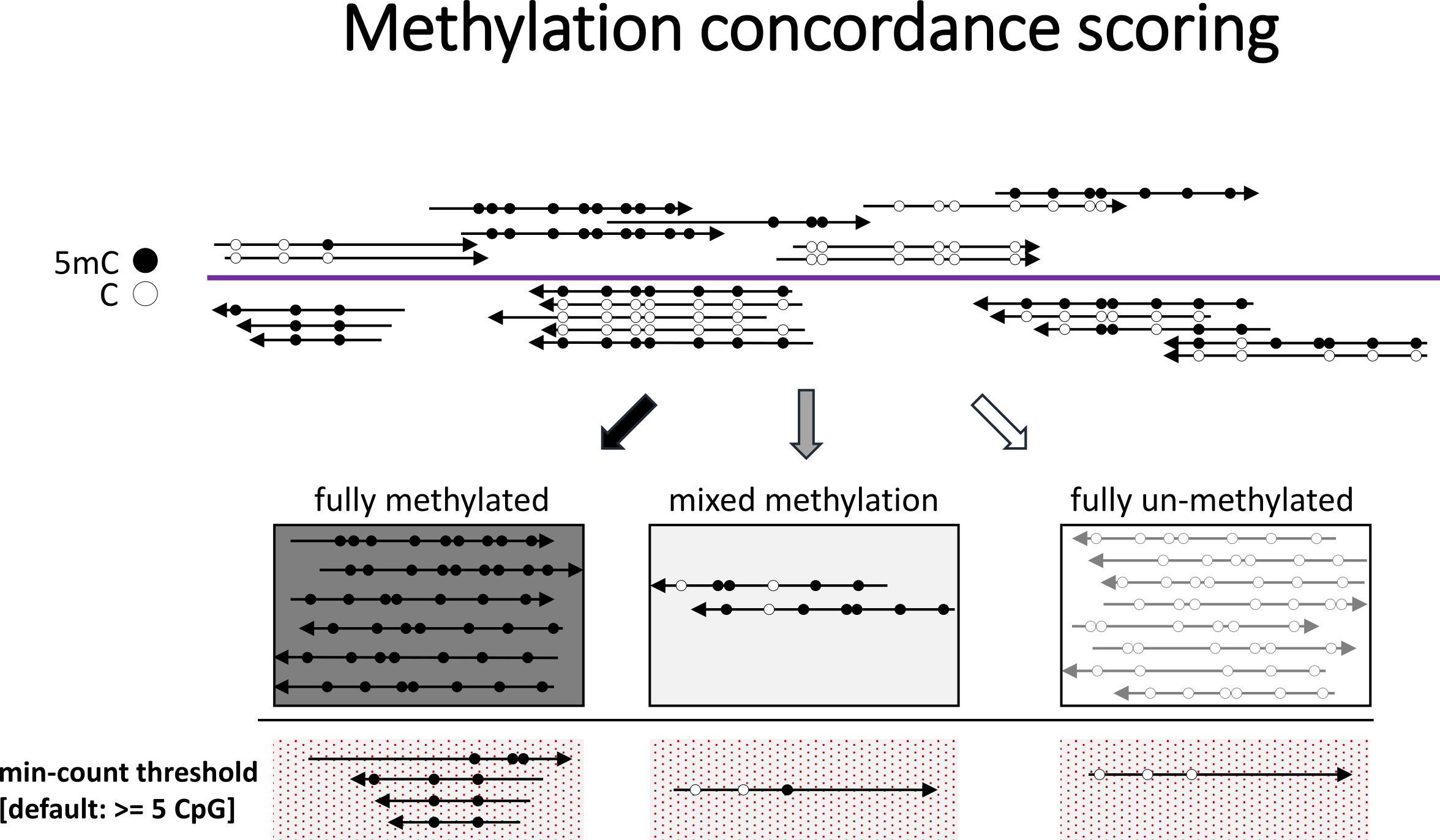 Methylation Concordance Plot