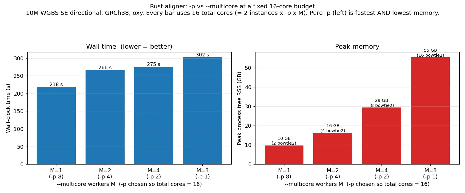 Rust aligner -p versus --multicore at a fixed 16-core budget: wall time and peak memory as cores shift from -p to --multicore