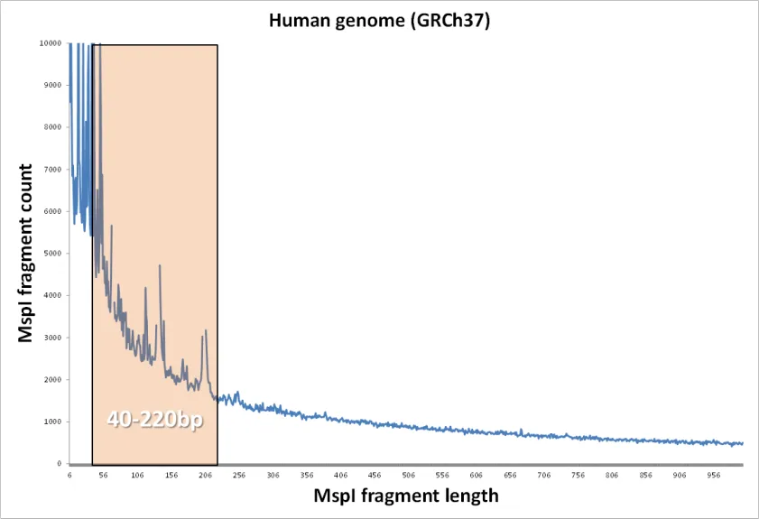 In silico MspI fragment-length distribution for the human genome
