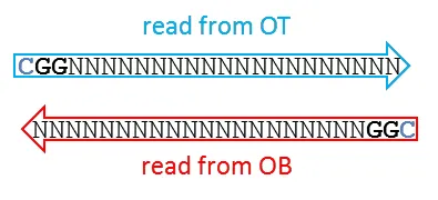 Non-directional case A: short read from OT or OB