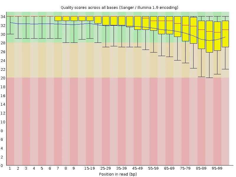 Per-base quality after trimming