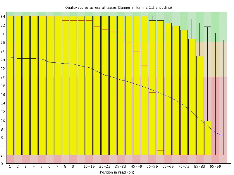 Per-base quality before trimming